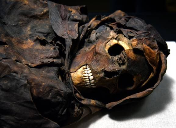Mummies at the Museum of Mankind - Paris Mummies at the Museum of Mankind (Musee de L Homme). Mummies (La jeune femme Guanche) during a media preview of the exhibition in Paris, France on November 18, 2025. Photo by Alain Apaydin ABACAPRESS Paris France  Copyright: xApaydinxAlain ABACAx
