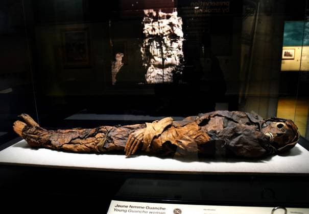 Mummies at the Museum of Mankind - Paris Mummies at the Museum of Mankind (Musee de L Homme). Mummies (La jeune femme Guanche) during a media preview of the exhibition in Paris, France on November 18, 2025. Photo by Alain Apaydin ABACAPRESS Paris France  Copyright: xApaydinxAlain ABACAx