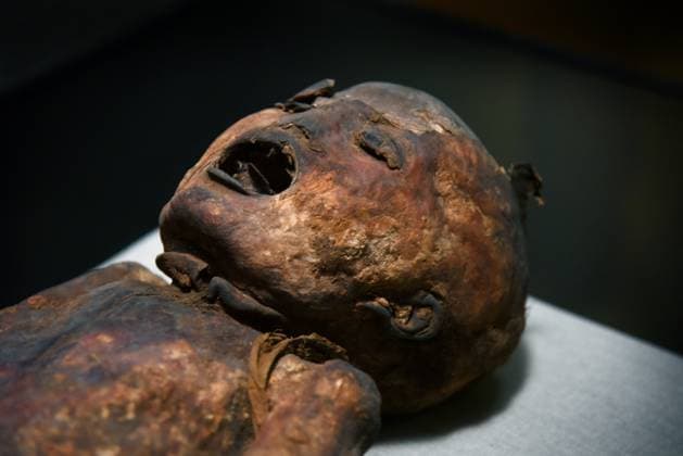 Mummies at the Museum of Mankind - Paris Mummies at the Museum of Mankind (Musee de L Homme). Mummies (Le jeune garcon des Martres-d Artiere) during a media preview of the exhibition in Paris, France on November 18, 2025. Photo by Alain Apaydin ABACAPRESS Paris France  Copyright: xApaydinxAlain ABACAx