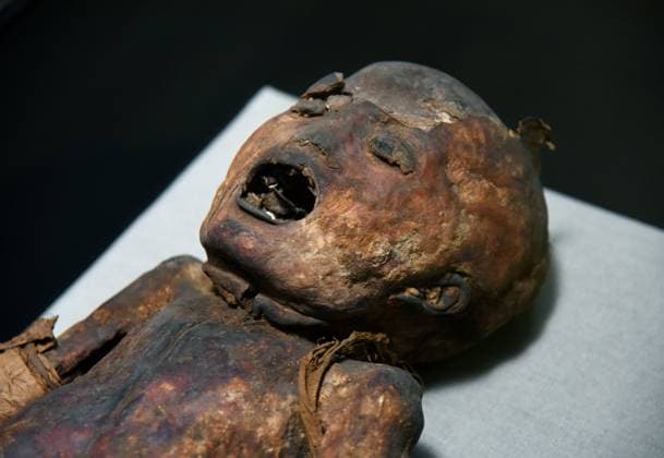 Mummies at the Museum of Mankind - Paris Mummies at the Museum of Mankind (Musee de L Homme). Mummies (Le jeune garcon des Martres-d Artiere) during a media preview of the exhibition in Paris, France on November 18, 2025. Photo by Alain Apaydin ABACAPRESS Paris France  Copyright: xApaydinxAlain ABACAx