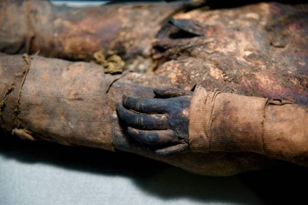 Mummies at the Museum of Mankind - Paris Mummies at the Museum of Mankind (Musee de L Homme). Mummies (Le jeune garcon des Martres-d Artiere) during a media preview of the exhibition in Paris, France on November 18, 2025. Photo by Alain Apaydin ABACAPRESS Paris France  Copyright: xApaydinxAlain ABACAx
