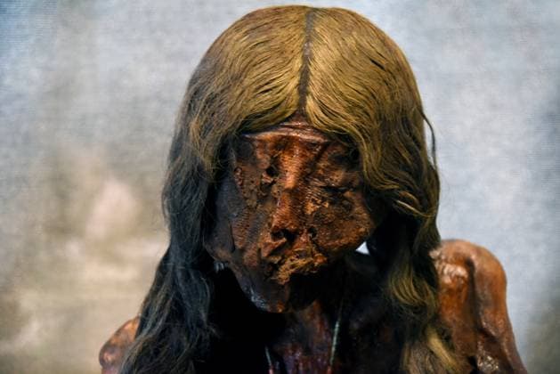Mummies at the Museum of Mankind - Paris Mummies at the Museum of Mankind (Musee de L Homme). Mummies (La jeune femme des Andes) during a media preview of the exhibition in Paris, France on November 18, 2025. Photo by Alain Apaydin ABACAPRESS Paris France  Copyright: xApaydinxAlain ABACAx