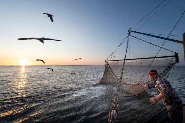 Fischfang Krabbenkutter Nixe II auf Fangfahrt in der Nordsee vor Dorum. Fischer Stephan Hellberg (58) ist Vorsitzende des Fischereivereins Dorumer Tief. Derzeit gibt es an der Wurster Nordseeküste zehn Krabbenkutter und etwa 20 Krabbenfischer. Dorum Nordsee, Außenweser Niedersachsen Deutschland