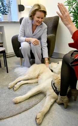 Queen Mathilde visits the Emergency Victim Assistance (EVA) BRUSSELS, BELGIUM - DECEMBER 04 : Queen Mathilde visits the Emergency Victim Assistance (EVA) unit of the Brussels Capital Ixelles police zone. EVA, created five years ago, is a specialised police service that supports victims of sexual and or domestic violence (Presentation of the EVA unit, visit to the video-recorded interview room and explanations by two members of the unit, tour of the victim interview room, presentation and testimony from a victim and meeting with the judicial assistance dog) on December 4, 2025 in Brussels, Belgium, 04 12 2025 Brussels Belgium  Copyright: xDidierxLebrunx