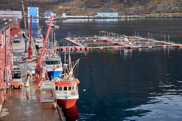 Wirtschaft, Fischerei, Aquazucht von Lachs und Meeresfrüchten im Hafen von Oksfjord Nordmeer