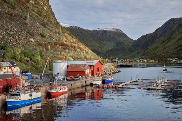 Wirtschaft, Fischerei, Aquazucht von Lachs und Meeresfrüchten im Hafen von Oksfjord Nordmeer