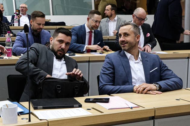 Fraktionsvorsitzender Ulrich Siegmund (AfD, Sachsen Anhalt) und Tobias Rausch (AfD) - Sitzung im Landtag von Sachsen Anhalt mit dem Thema Abgeordnetengesetz zur Parlamentsreform 2026
