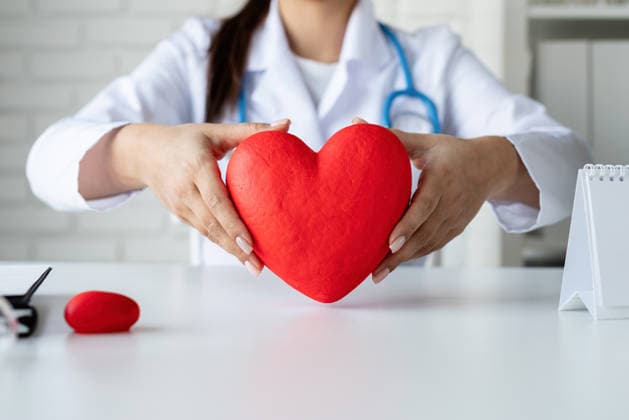 Ärztin oder Wissenschaftlerin, die ein großes rotes Herz in den Händen hält Healthcare, insurance concept. doctor or scientist woman holding big red heart in hands (License=RF) ,model released, Symbolfoto Copyright: xZoonar.com IlonaxShorokhovax 24769895 ,model released, Symbolfoto ,property released
