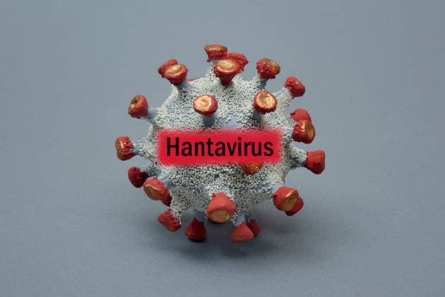 Virusmodell mit Schriftzug Hantavirus Fotomontage: Virusmodell mit Schriftzug Hantavirus, 25.03.2026, Borkwalde, Brandenburg, In ein Virusmodell wurde der Schriftzug Hantavirus montiert.