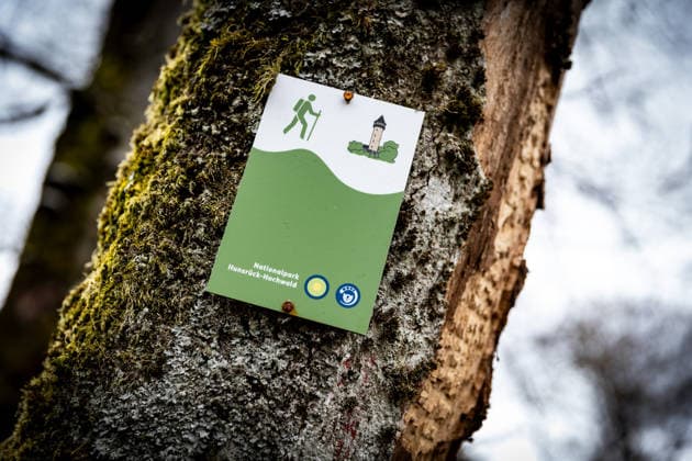 04.04.2026 - Ein Hinweisschild an einem Baum. Impression von einer Wanderung im Nationalpark Hunsrück-Hochwald an der Wildenburg bei Kempfeld (Rheinland-Pfalz). Kempfeld Wildenburg Rheinland-Pfalz Deutschland Copyright: xBEAUTIFULxSPORTS RaphaelxSchmittx