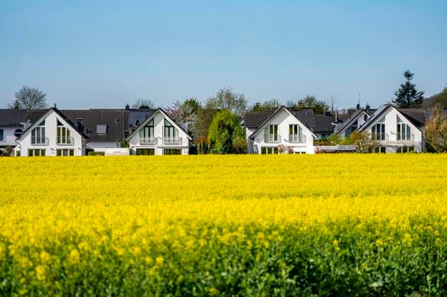 Wohnsiedlung, Wohngebiet, Einfamilienhäuser, im Süden von Essen, wohnen im Grünen, gelbes Rapsfeld, NRW, Deutschland, Wohnen im Grünen