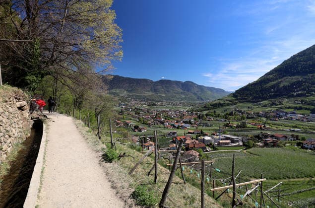 Ein Frühligstag mit sommerlichen Temperaturen am Algunder Waalweg nahe Algund bei Meran, Merano. Hier der Blick auf bei der Apfelblüte, Blüte, Blütenmeer, Naturschauspiel auf den Wanderweg mit den blühenden Apfelbäumen , hier das Meraner Becken mit Algund, Meraner Land, Burggrafenamt, Alto Adige, Südtirol