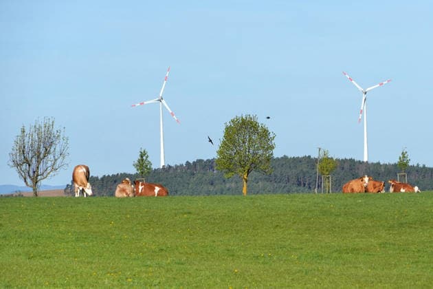 Kulturlandschaft, Strukturvielfalt der Landschaft, Windräder, Wald und Rinder auf der Weide, Nutzung der Windenergie, tierartgerechte Rinderhaltung, Landwirtschaft, Tierwohl, Thüringen