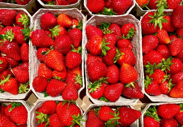 04.05.2026, Deutschland, NRW, Lebensmittel, Obst, Frische Erdbeeren in umweltfreundlichen Verpackungen aus Pappe, Deutschland Copyright: xD.xKerlekin SnowfieldxPhotographyx SF040526ErdbeerenD
