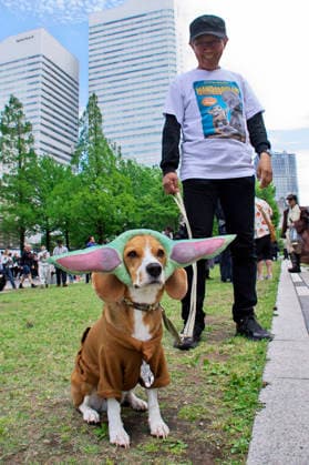 Cosplayer beim Star Wars Day-Event May the 4th Be With You . Yokohama, 04.05.2026