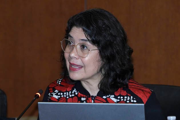 Tania Reneaum, Executive Secretary of the Inter-American Commission on Human Rights (IACHR), speaks during a regular session of the Permanent Council of the Organization of American States (OAS) in Washington, United States, 06 May 2026. The IACHR reported to the OAS the politically motivated detention of individuals in Venezuela and demanded their immediate release. The IACHR calls on the OAS to secure the release of those detained for political reasons in Venezuela !ACHTUNG: NUR REDAKTIONELLE NUTZUNG!  Copyright: xLeninxNollyx USA564 20260506-55020200707_1
