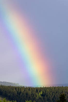 06.05.2026, GER, Aktuelles Wetter, Gewitterfront zieht über den Thüringer Wald Eine Gewitterfront mit einigen Blitzen Blitz sowie kurzen starken Regen Niederschlag und gut sichtbaren Wolkenstrukturen zieht über den Thüringer Wald. Im Nachgang dann ein Spiel aus Wolken Regen Sonnen erzeugten tollen Strukturen am Himmel sowie einen Regenbogen. 99842 Ruhla Rennsteig Glasbach Thüringer Wald Inselsberg Thüringen Deutschland