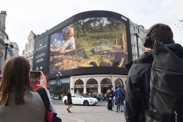 May 8, 2026, London, England, United Kingdom: The Piccadilly Lights screen in Piccadilly Circus displays a tribute from BBC as broadcaster, writer, conservationist and natural historian David Attenborough turns 100. London United Kingdom - ZUMAv130 20260508_zip_v130_010 Copyright: xVukxValcicx