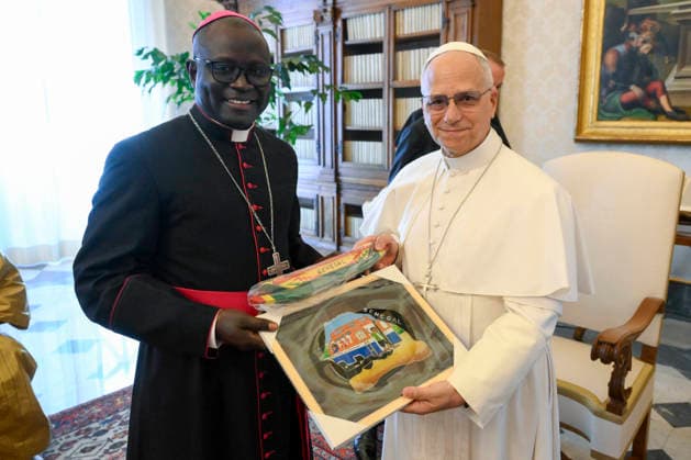 ITALY - POPE LEO XIV DURING A PRIVATE AUDIENCE WITH DELEGATION OF LEADERS AND REPRESENTATIVES OF THE MUSLIM CIMMUNITY OF SENEGAL IN THE VATICAN - 2026 5 9 Italy, Rome, Vatican, 2026 5 9 Pope Leo XIV during a private audience with Delegation of Leaders and Representatives of the Muslim Community of Senegal in The Vatican EDITORIAL USE ONLY - NO BOOKS Copyright: xVATICANxMEDIAx