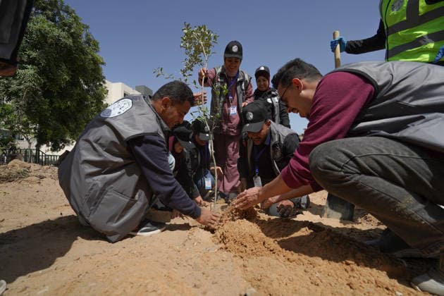 Volunteers clear rubble at al-Shifa Hospital in Gaza City Palestinian volunteers take part in removing rubble and cleaning the outer courtyard of al-Shifa Hospital in Gaza City on May 10, 2026, as part of the Volunteer Work Week activities organized by the Operation Chivalrous Knight 3 initiative. The campaign included cleaning works, rubble removal, tree planting and the installation of shade structures for residents around the hospital. Photo by Ramzi Abu Amer apaimages Khan Yunis Gaza Strip Palestinian Territory 100526_Gaza_RA_00(17).jpeg Copyright: xapaimagesxRamzixxAbuxAmerx xapaimagesx