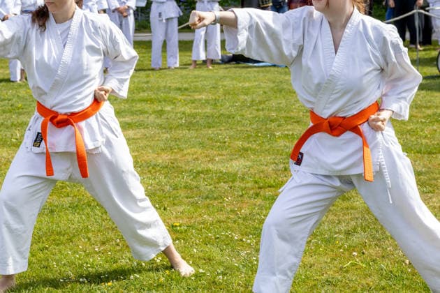 Karategruppe mit unterschiedlich farbigen Gürteln bei einem gemeinsamen Training im Freien. Die Teilnehmer üben Techniken und Bewegungsabläufe der japanischen Kampfkunst unter Anleitung eines Trainers. Traditionelles Japanisches Frühlingsfest im Botanischen Garten Augsburg. Das Event im Rahmen des 90-jährigen Garten-Jubiläums