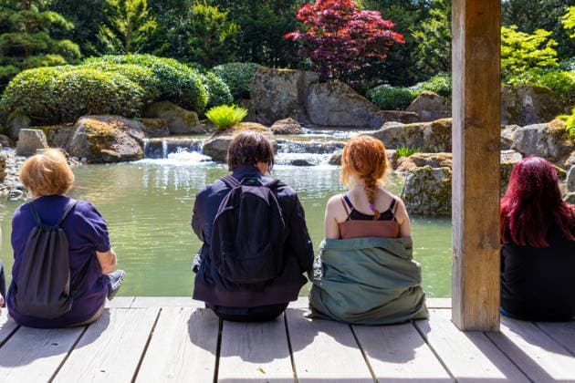 Besucher sitzen am Wasserbecken im Botanischen Garten Augsburg und blicken auf die bepflanzte Gartenlandschaft mit Steinen, Wasserfall und japanisch inspirierter Gestaltung im Sommer. Traditionelles Japanisches Frühlingsfest im Botanischen Garten Augsburg. Das Event im Rahmen des 90-jährigen Garten-Jubiläums