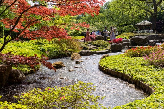 Traditionelles Japanisches Frühlingsfest im Botanischen Garten Augsburg. Das Event im Rahmen des 90-jährigen Garten-Jubiläums. Gartenanlage