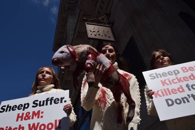 May 12, 2026, London, England, United Kingdom: PETA activists with fake bruises and blood hold a fake dead lamb during a protest outside H&M on Regent Street, calling on the fashion group to stop selling wool. London United Kingdom  - ZUMAv130 20260512_zip_v130_010 Copyright: xVukxValcicx