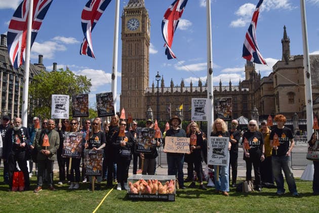 May 12, 2026, London, England, United Kingdom: Activists from the vegan and animal rights campaign group Viva hold placards around a cage with plush toy chickens in Parliament Square during a protest calling on the government to ban cages for hens. Over seven million hens spend their lives in cramped cages on factory farms. London United Kingdom  - ZUMAv130 20260512_zip_v130_022 Copyright: xVukxValcicx
