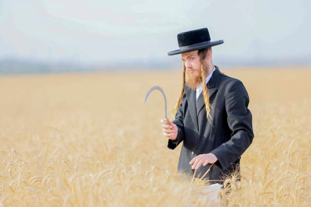Haredi Men Harvest Wheat West Bank A Haredi Jewish man uses a sickle to harvest wheat by hand in a field in Mevo Horon, the occupied West Bank, on May 13, 2026. The wheat is harvested once fully dry and collected in bags for the production of Matzah Shmura for the following year™s Passover holiday. Mevo Horon West Bank Palestinian Territories Copyright: xSimonxBenix
