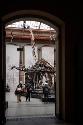 (260518) -- BERLIN, May 18, 2026 -- People visit the Museum of Natural History in Berlin, Germany, May 17, 2026. Museums in Berlin opened to the public free of charge on Sunday in celebration of the upcoming International Museum Day. ) GERMANY-BERLIN-INT L MUSEUM DAY-MUSEUM-FREE ADMISSION ZhangxHaofu 