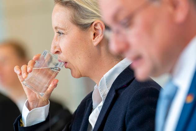 Alice Weidel EUR, Deutschland, Berlin, 19.05.2026: Pressestatement von Alice Weidel Co-Vorsitzende der AfD Bundestagsfraktion