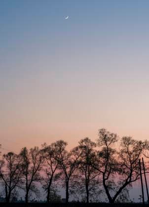 (260519) -- HARBIN, May 19, 2026 -- This photo taken on May 19, 2026 shows the planet of Venus next to the moon in the twilight sky over Shuangyashan, northeast China s Heilongjiang Province. (Photo by Xinhua) CHINA-HEILONGJIANG-SKY VIEW-MOON AND VENUS (CN) HanxYang 