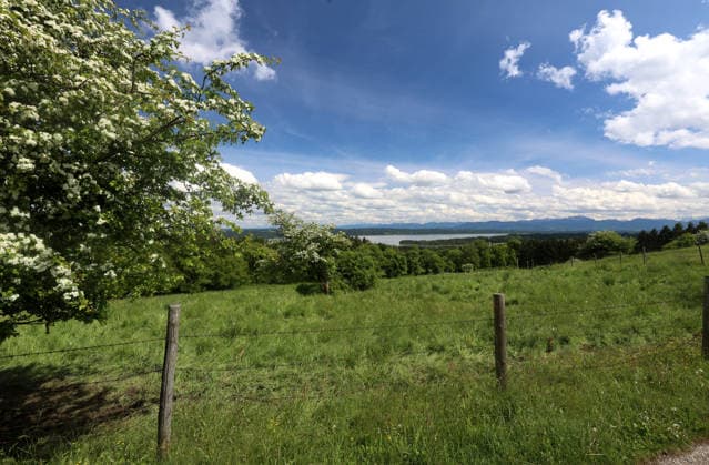 Ein Frühsommertag bei Tutzing (Landkreis Starnberg). Hier der Blick von der Ilkahöhe auf den Starnberger See und die Alpenkette ,wandern, spazieren, Radfahren, Ausblick, Naherholung, Münchner Umland, Wetterbild, Ausflugswetter