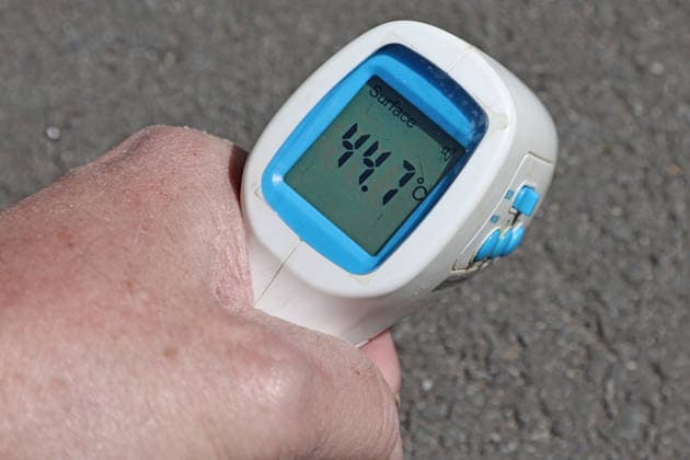 Hitzewelle im Sommer Ein digitales Thermometer zeigt die Temperatur von der Oberfläche eines asphaltierten Fußweges an.