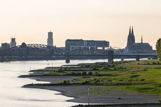 Niedrigwasser in Köln 28.05.2026 Niedrigwasser am Rhein in Köln-Poll bei Sonnenuntergang: Bei einem Rheinpegel von 150 cm am Pegel Köln sind am Ufer großflächige Sand- und Kiesflächen freigelegt. Der Blick von der Rodenkirchener Brücke zeigt den Rhein mit der Kölner Skyline, dem Kölner Dom, der Severinsbrücke, der Deutzer Brücke und den Kranhäusern. In den kommenden Tagen wird allerdings mit ergiebigem Regen gerechnet. Köln Poll Nordrhein-Westfalen Deutschland Copyright: xMarcxJohnx