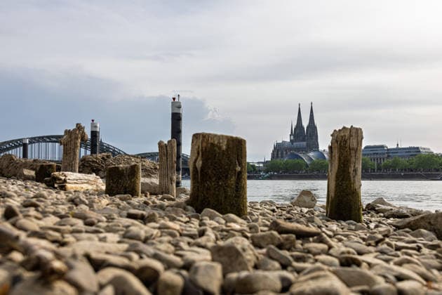 Niedrigwasser in Köln 29.05.2026 Niedrigwasser am Rhein in Köln-Deutz: Bei einem Rheinpegel von 148 cm am Pegel Köln sind am rechtsrheinischen Ufer Kiesflächen und alte Holzpfähle freigelegt. Die Holzpfähle werden bei Niedrigwasser sichtbar; ihre genaue historische Zuordnung gilt als nicht eindeutig. Im Hintergrund sind der Kölner Dom und die Hohenzollernbrücke zu sehen. Köln Deutz Nordrhein-Westfalen Deutschland Copyright: xMarcxJohnx