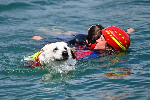 News Bilder des Tages Wasserwacht praesentiert eine Rettungsuebung mit einem speziell trainierten Wasserrettungshund. Retter und Diensthund im Wasser,bergen einen jugendlichen Schwimmer,Bergung. DLRG stellt ihre Schnell-Einsatz-Gruppe fuer Rettungseinsaetze auf dem Wasser vor. Die Bayerische Sicherheit am und im Wasser: Bayerns Innenminister Joachim Herrmann gibt Startschuss für Social-Media-Kampagne - DLRG und Wasserwacht demonstrieren Schutz- und Rettungsmassnahmen am 03.06.2026 am Langwieder See.