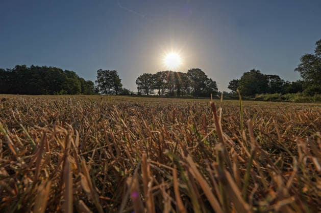Sommer im Siegerland. Es ist sehr heiss (heiß) und die Temperaturen sollen weiter ansteigen. Der Himmel ist blau und die Sonne strahlt vom wolkenlosen Himmel auf die Landschaft. Sommer am 26.06.2026 in Siegen Deutschland.
