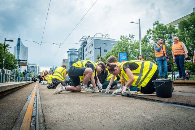 Leipziger Bürgerinnen und Bürger befreien am Johannisplatz gemeinsam mit den Leipziger Verkehrsbetrieben (LVB) die Straßenbahngleise von geschmolzenem Bitumen. Nachdem bereits am Vortag rund 100 Freiwillige einem Aufruf der LVB gefolgt waren, wurden die Reinigungsarbeiten am zweiten Tag am Johannisplatz fortgesetzt. Hintergrund sind die Schäden durch die extremen Temperaturen des vergangenen Hitzewochenendes. Aufnahme vom Datum . Reinigung Leipzig
