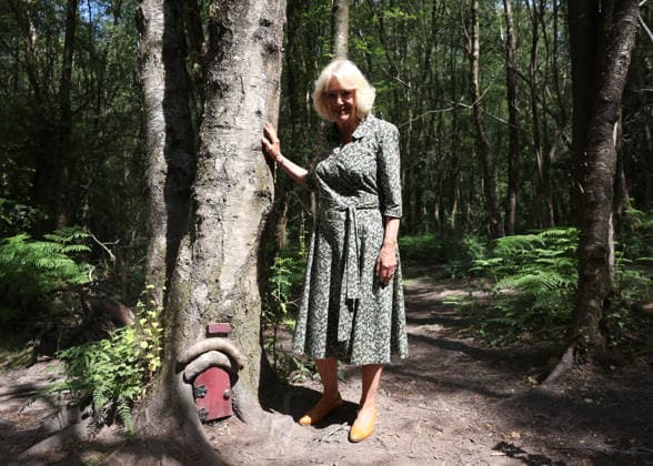 Queen Camilla Commemorates 100 Years Of Winnie The Pooh in Hartfield, UK, 07 July 2026 HARTFIELD, ENGLAND - JULY 07: Queen Camilla during her visit to Ashdown Forest to commemorate 100 Years of Winnie-the-Pooh at Ashdown Forest on July 07, 2026 in Hartfield, England. Ashdown Forest was the inspiration for the Hundred Acre Wood in A.A. Milne s classic Winnie-the-Pooh children s books. The Queen visited the forest in her role as patron of the Royal Literary Fund., Credit:Chris Jackson PA ROTA - B68 Avalon Hartfield, United Kingdom  Copyright: xChrisxJacksonx xPAxROTAx-xB68x xAvalonx 1115017868