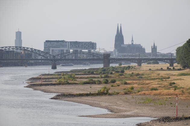 Niedrigwasser in Köln Blick von der Rheinbrücke Rodenkirchen auf Köln in der Sommerhitze. Die anhaltende Trockenheit lässt den Rheinpegel Köln auf 100cm sinken. Im Hintergrund die Kranhäuser und der Kölner Dom Köln NRW Deutschland Copyright: xMarcxJohnx