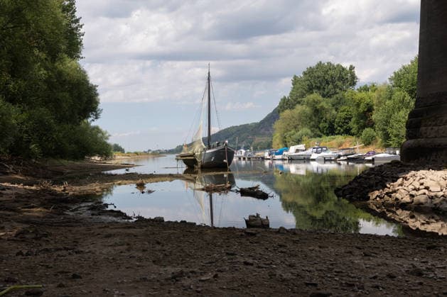 Niedrigwasser am Rhein - Hitzewelle und Trockenheit lassen Pegel sinken Insel Grafenwerth. Mit dem Aalschokker Aranka, der im toten Rheinarm nahezu auf Grund liegt - Niedrigwasser am Rhein infolge anhaltender Trockenheit und einer Hitzewelle mit Temperaturen über 30 Grad. Zwischen Bad Honnef und Bonn liegen die Pegelstände bei 24 cm am Pegel Oberwinter und 95 cm am Pegel Bonn. Die Binnenschifffahrt ist eingeschränkt - Frachtschiffe können nur noch mit reduzierter Ladung fahren. Bad Honnef Insel Grafenwewrth Nordrhein-Westfalen Deutschland Copyright: xMarcxJohnx