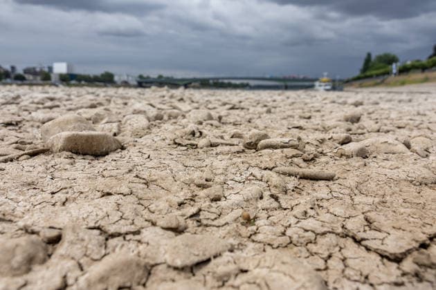 Niedrigwasser am Rhein in Bonn-Beuel Niedrigwasser am Rhein: Bei einem Pegelstand von 125 cm am Pegel Bonn liegt das Flussbett am Beueler Rheinufer bis auf die tiefer liegende Fahrrinne trocken. Blick nach Norden auf die stark befahrene Kennedybrücke, im Hintergrund die gesperrte Nordbrücke (Friedrich-Ebert-Brücke). Bonn Beuel Nordrhein-Westfalen Deutschland Copyright: xMarcxJohnx