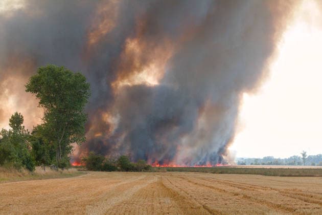 News Bilder des Tages 25.07.2026 Feldbrand bei Wadendorf Zörbig Anhalt-Bitterfeld Sachen-Anhalt Zweiter Feldbrand zwischen Wadendorf und Löberitz. Ein Feld steht in Flammen. Zörbig Sachsen-Anhalt Deutschland