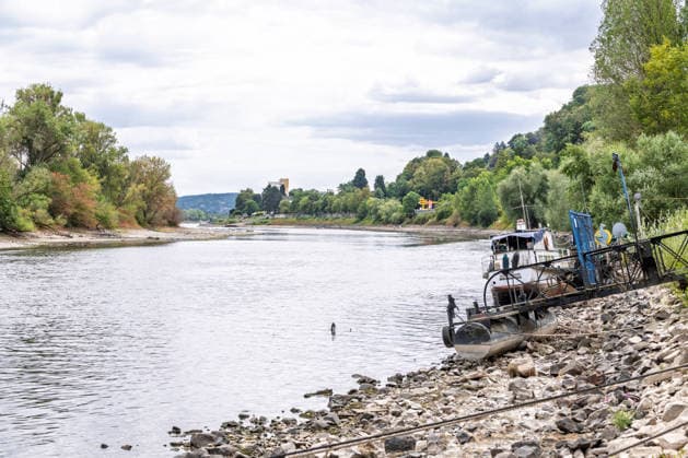 Niedrigwasser am Rhein bei Rolandseck - Fähre Bad Honnef weicht auf Behelfsrampe aus Niedrigwasser am Rhein bei Rolandswerth an der Rheininsel Nonnenwerth. Bei einem Pegelstand von 18 cm am Pegel Oberwinter haben anlegende Schiffe bereits Grundberührung. Der reguläre Fähranleger ist nicht mehr erreichbar - die Fähre nach Bad Honnef muss auf eine benachbarte Rampe ausweichen. Remagen Rolandseck Rheinland-Pfalz Deutschland Copyright: xMarcxJohnx