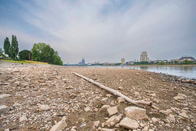 Niedrigwasser am Rhein in Koeln (Foto vom 31.08.2026). Die Pegelstaende im Rhein grenzen teils an Tiefstwerten. In Koeln wird ein historischer Tiefstand befuerchtet. Das Niedrigwasser hat massive Auswirkungen auf die Schifffahrt. Gueterschiffe muessen ihre Ladung teils um mehr als die Haelfte reduzieren, Personenfahrten fallen teilweise aus. EDITORIAL USE ONLY