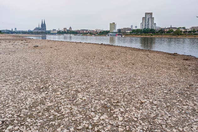 Niedrigwasser am Rhein in Koeln (Foto vom 31.08.2026). Die Pegelstaende im Rhein grenzen teils an Tiefstwerten. In Koeln wird ein historischer Tiefstand befuerchtet. Das Niedrigwasser hat massive Auswirkungen auf die Schifffahrt. Gueterschiffe muessen ihre Ladung teils um mehr als die Haelfte reduzieren, Personenfahrten fallen teilweise aus. EDITORIAL USE ONLY
