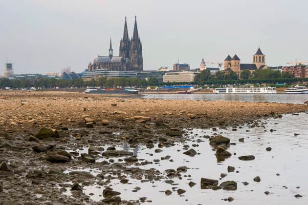 Ein Frachtschiff faehrt bei Niedrigwasser mit geringer Ladung ueber den Rhein am Dom in Koeln vorbei (Foto vom 31.08.2026). Die Pegelstaende im Rhein grenzen teils an Tiefstwerten. In Koeln wird ein historischer Tiefstand befuerchtet. Das Niedrigwasser hat massive Auswirkungen auf die Schifffahrt. Gueterschiffe muessen ihre Ladung teils um mehr als die Haelfte reduzieren, Personenfahrten fallen teilweise aus. EDITORIAL USE ONLY