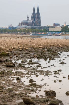 Ein Frachtschiff faehrt bei Niedrigwasser mit geringer Ladung ueber den Rhein am Dom in Koeln vorbei (Foto vom 31.08.2026). Die Pegelstaende im Rhein grenzen teils an Tiefstwerten. In Koeln wird ein historischer Tiefstand befuerchtet. Das Niedrigwasser hat massive Auswirkungen auf die Schifffahrt. Gueterschiffe muessen ihre Ladung teils um mehr als die Haelfte reduzieren, Personenfahrten fallen teilweise aus. EDITORIAL USE ONLY